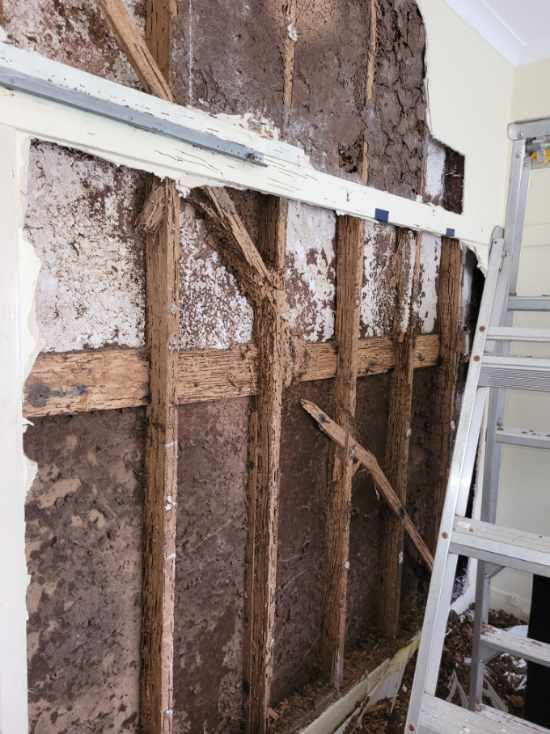 Termites: Navigating the Landscape of Termite Damage in Melbourne Suburbs